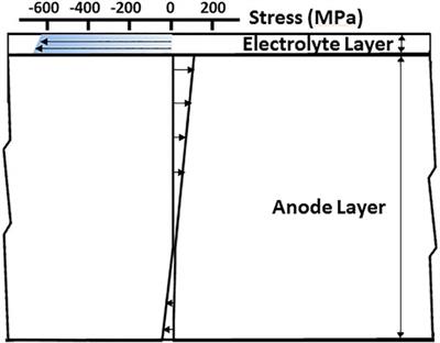 Experimental Investigation on Potential Effect of Cell Shape and Size on the Residual Stress in Solid Oxide Fuel Cells